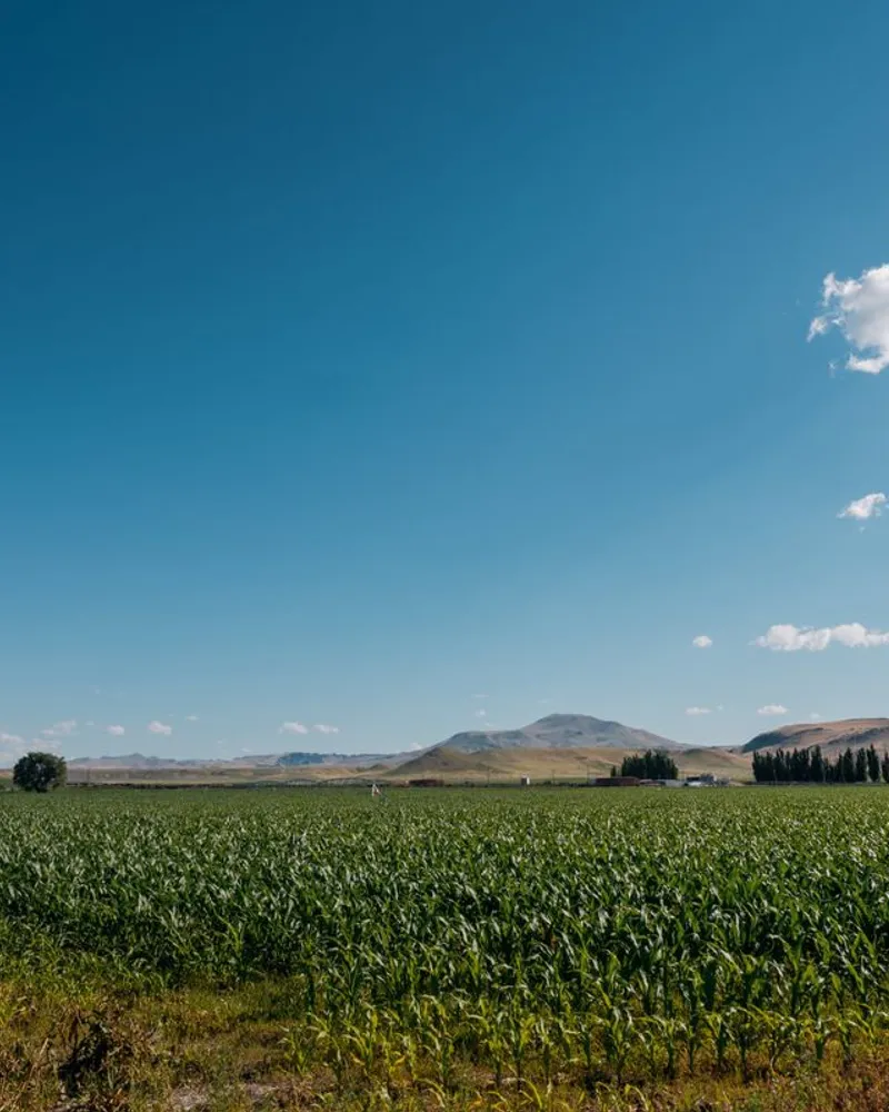 Green farm fields and dry rolling hills beneath a blue sky